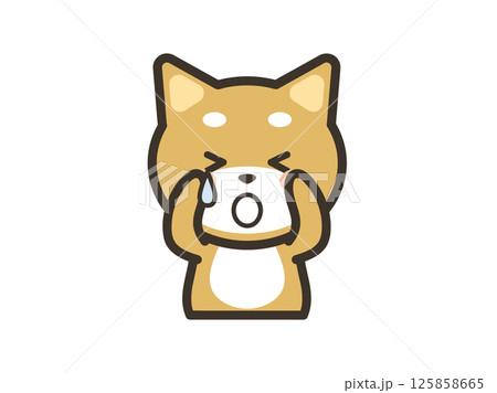 悲しくて泣いているかわいい柴犬の上半身イラスト 悲しくて泣いているかわいい柴犬の上半身イラスト 125858665