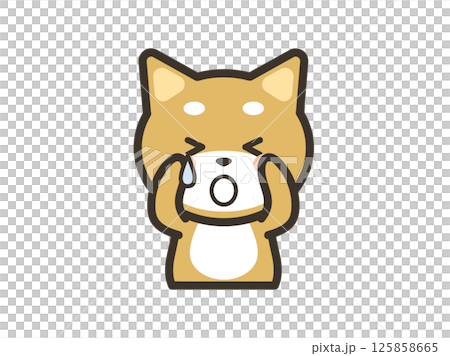 悲しくて泣いているかわいい柴犬の上半身イラスト 悲しくて泣いているかわいい柴犬の上半身イラスト 125858665