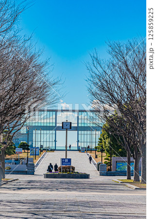 東京 江戸川 葛西臨海公園の風景 東京 江戸川 葛西臨海公園の風景 125859225