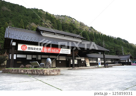 【智頭急行】平福駅（智頭線） 125859331