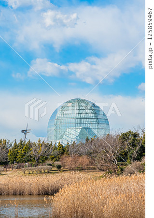 東京　葛西臨海公園の風景 125859467