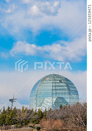 東京 葛西臨海公園の風景 東京 葛西臨海公園の風景 125859471