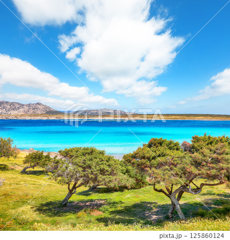 Breathtaking morning view of Famous La Pelosa beach and garden near Torre della Pelosa Breathtaking morning view of Famous La Pelosa beach and garden near Torre della Pelosa 125860124