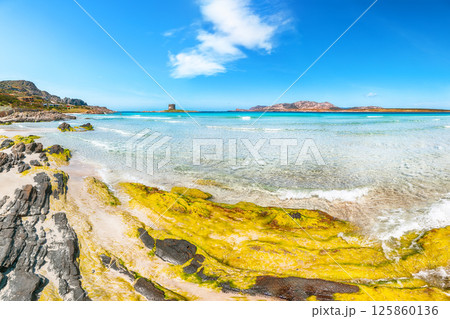Unbelivable morning view of famous La Pelosa beach and rocky shore near Torre della Pelosa Unbelivable morning view of famous La Pelosa beach and rocky shore near Torre della Pelosa 125860136