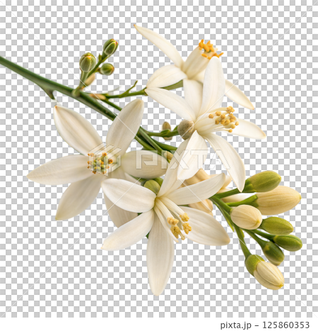 White Flowers Bunch 125860353