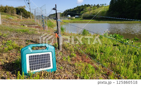 イノシシ防護電気柵 イノシシ防護電気柵 125860518