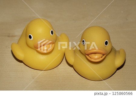 Two Cute Toy Yellow Rubber Ducks Looking Jolly on a Wood Shelf Two Cute Toy Yellow Rubber Ducks Looking Jolly on a Wood Shelf 125860566