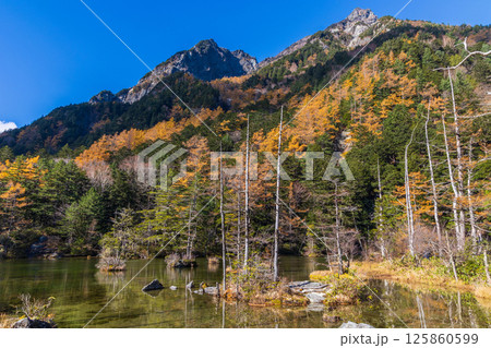 日本屈指の山岳リゾート　晩秋の上高地　明神池と明神岳 125860599