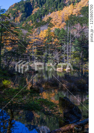 日本屈指の山岳リゾート　晩秋の上高地　明神池 125860700