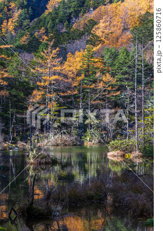 日本屈指の山岳リゾート 晩秋の上高地 明神池 日本屈指の山岳リゾート 晩秋の上高地 明神池 125860716