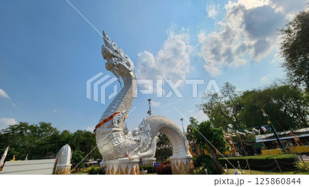 Majestic Silver Serpent Sculpture Under Blue Sky and Fluffy Clouds 125860844