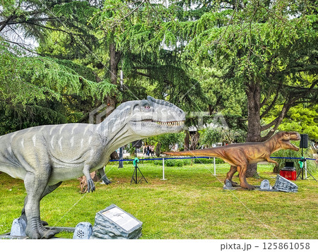 Feathered T-Rex and Dinosaurs in Summer Vacation Park Feathered T-Rex and Dinosaurs in Summer Vacation Park 125861058