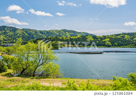 初夏の余呉湖の景観 滋賀県長浜市余呉町 初夏の余呉湖の景観 滋賀県長浜市余呉町 125861084