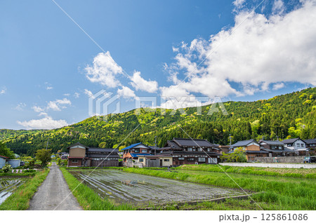 初夏の余呉湖畔川並集落風景　滋賀県長浜市余呉町 125861086