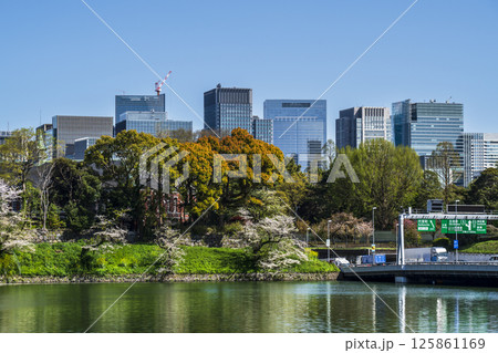 千鳥ヶ淵から見る東京の高層ビル群【東京都・千代田区】 千鳥ヶ淵から見る東京の高層ビル群【東京都・千代田区】 125861169