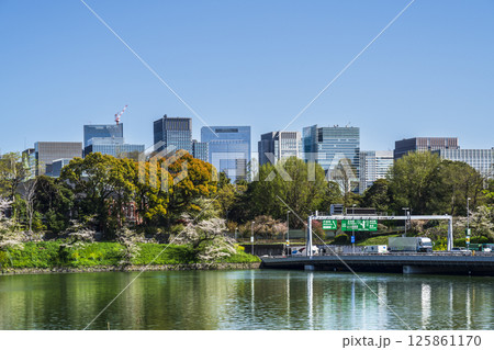 千鳥ヶ淵から見る東京の高層ビル群【東京都・千代田区】 125861170