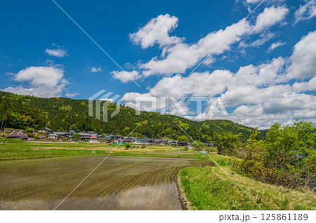 初夏の余呉湖畔川並集落の水田風景　滋賀県長浜市余呉町 125861189
