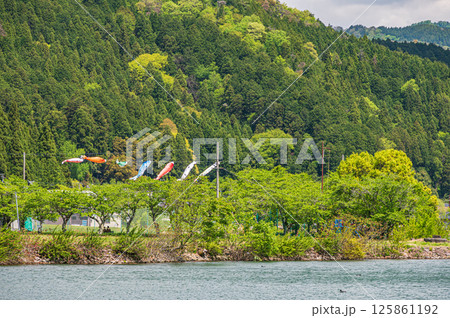 初夏の余呉湖畔風景　滋賀県長浜市余呉町 125861192