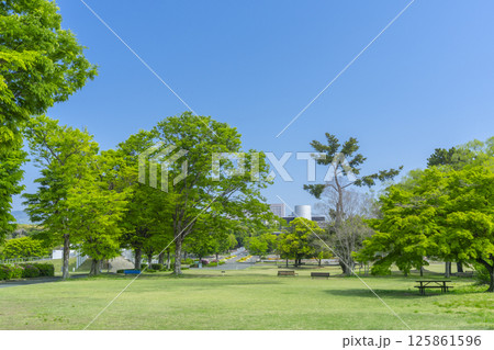 新緑と青空が気持ちいい万博記念公園 125861596