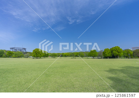 芝生と青空が気持ちいい万博記念公園 芝生と青空が気持ちいい万博記念公園 125861597