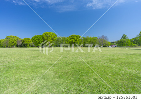 芝生と青空が気持ちいい万博記念公園 125861603