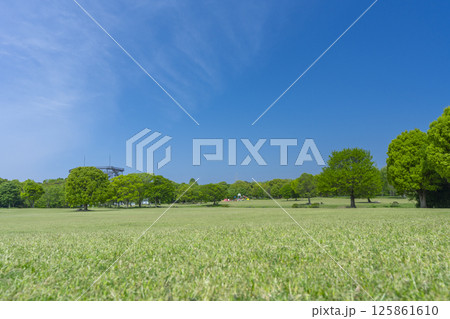 芝生と青空が気持ちいい万博記念公園 125861610