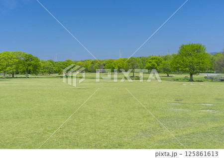 芝生と青空が気持ちいい万博記念公園 125861613