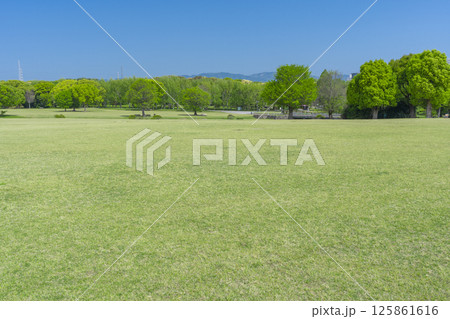 芝生と青空が気持ちいい万博記念公園 芝生と青空が気持ちいい万博記念公園 125861616