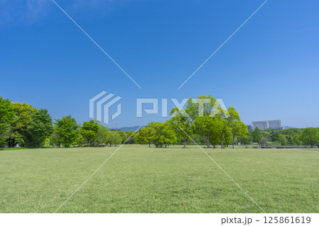 芝生と青空が気持ちいい万博記念公園 125861619
