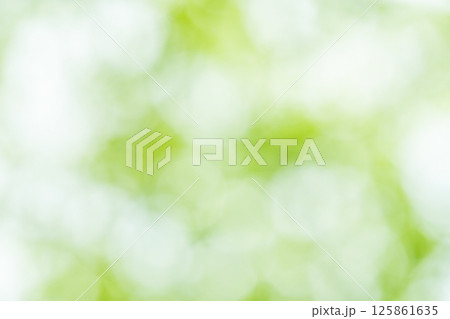グリーンボケ　万博公園の木々 125861635