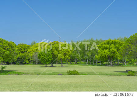 芝生と青空が気持ちいい万博記念公園 125861673