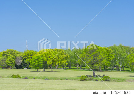 芝生と青空が気持ちいい万博記念公園 芝生と青空が気持ちいい万博記念公園 125861680