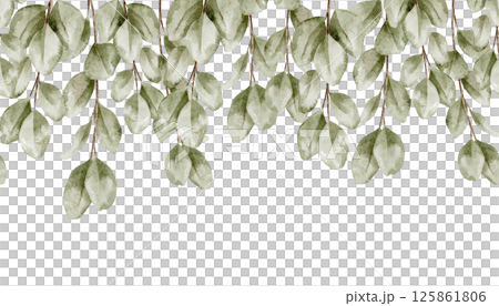 Watercolor illustration of botanical seamless Border with Eucalyptus branches and leaves. Drawing of Frame for wedding invitation, stationery backgrounds and Baby shower greeting cards. Watercolor illustration of botanical seamless Border with Eucalyptus branches and leaves. Drawing of Frame for wedding invitation, stationery backgrounds and Baby shower greeting cards. 125861806