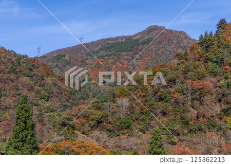 Colorful forested hills in autumn near Suganuma, Japan 125862213