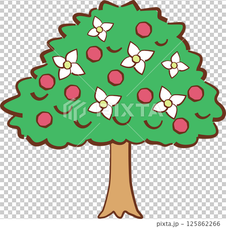 やまぼうしの木のイラスト やまぼうしの木のイラスト 125862266