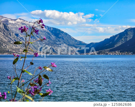 Nature of Montenegro: Sea, Cliffs, and Mountains 125862686