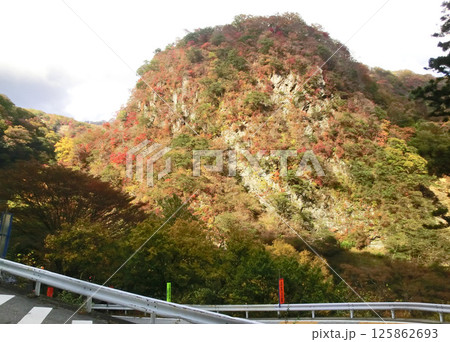 栃木県日光市のいろは坂の紅葉（下り） 125862693