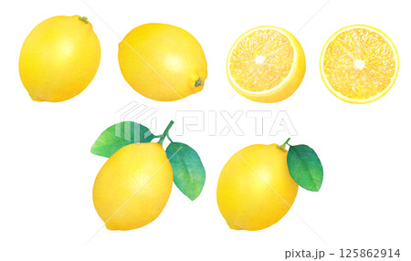 新鮮なレモンと葉の手描きイラストセット_水彩_丸ごとと輪切りレモン_柑橘の果物 125862914