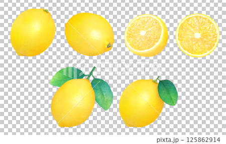 新鮮なレモンと葉の手描きイラストセット_水彩_丸ごとと輪切りレモン_柑橘の果物 125862914