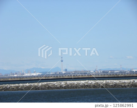 検見川浜から見たスカイツリー 検見川浜から見たスカイツリー 125862991