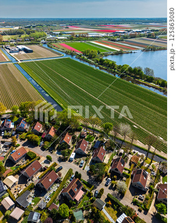 Aerial view of peaceful suburban neighborhood surrounded by fields and canals. Neat rows of houses with red roofs reflect in the water set against a backdrop of farmland and open skies. Beautiful lake 125863080
