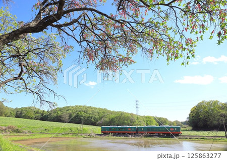 真岡鐵道「木花の新緑と田植えの頃の田園風景」 真岡鐵道「木花の新緑と田植えの頃の田園風景」 125863277