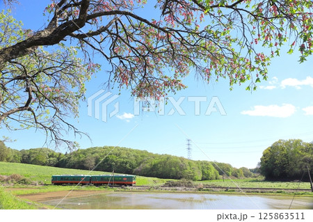 真岡鐵道「木花の新緑と田植えの頃の田園風景」 真岡鐵道「木花の新緑と田植えの頃の田園風景」 125863511