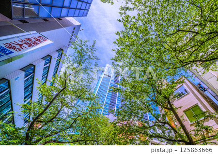日本の東京都市景観 5月、渋谷駅前。新緑のさくら坂などを望む 日本の東京都市景観 5月、渋谷駅前。新緑のさくら坂などを望む 125863666
