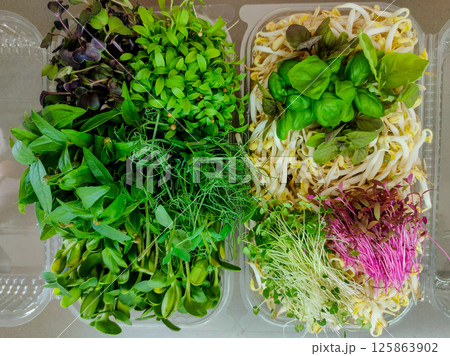 Assorted fresh microgreens and sprouts in plastic containers Assorted fresh microgreens and sprouts in plastic containers 125863902