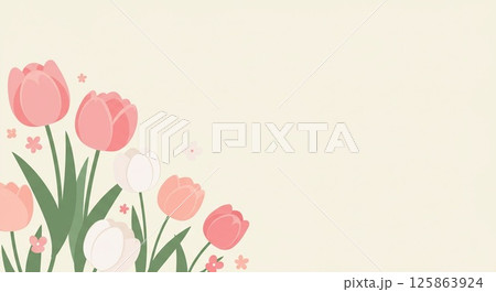 ピンクと白のチューリップで背景は淡いクリーム色 125863924