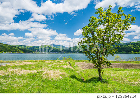 初夏の余呉湖畔風景　滋賀県長浜市余呉町 125864214