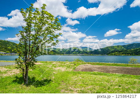初夏の余呉湖畔風景 滋賀県長浜市余呉町 初夏の余呉湖畔風景 滋賀県長浜市余呉町 125864217