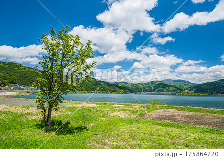 初夏の余呉湖畔風景　滋賀県長浜市余呉町 125864220