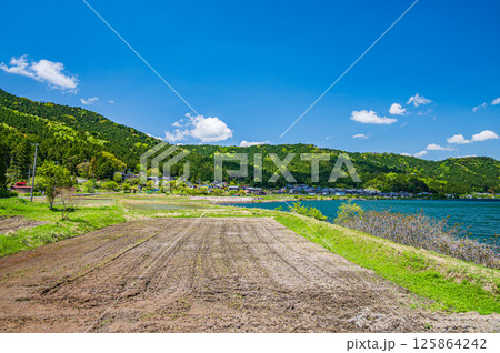 初夏の余呉湖畔川並地区の水田風景　滋賀県長浜市余呉町 125864242